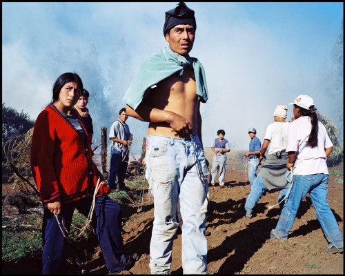 4_La lutte des indiens Mapuche au Chili 2003