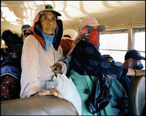 14_ L'exode des indiens Mixtèques / Mexique 2003
